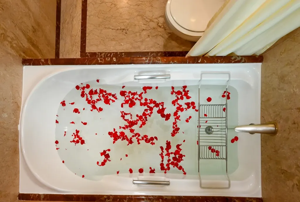 Fariyas Hotel Mumbai13.webp