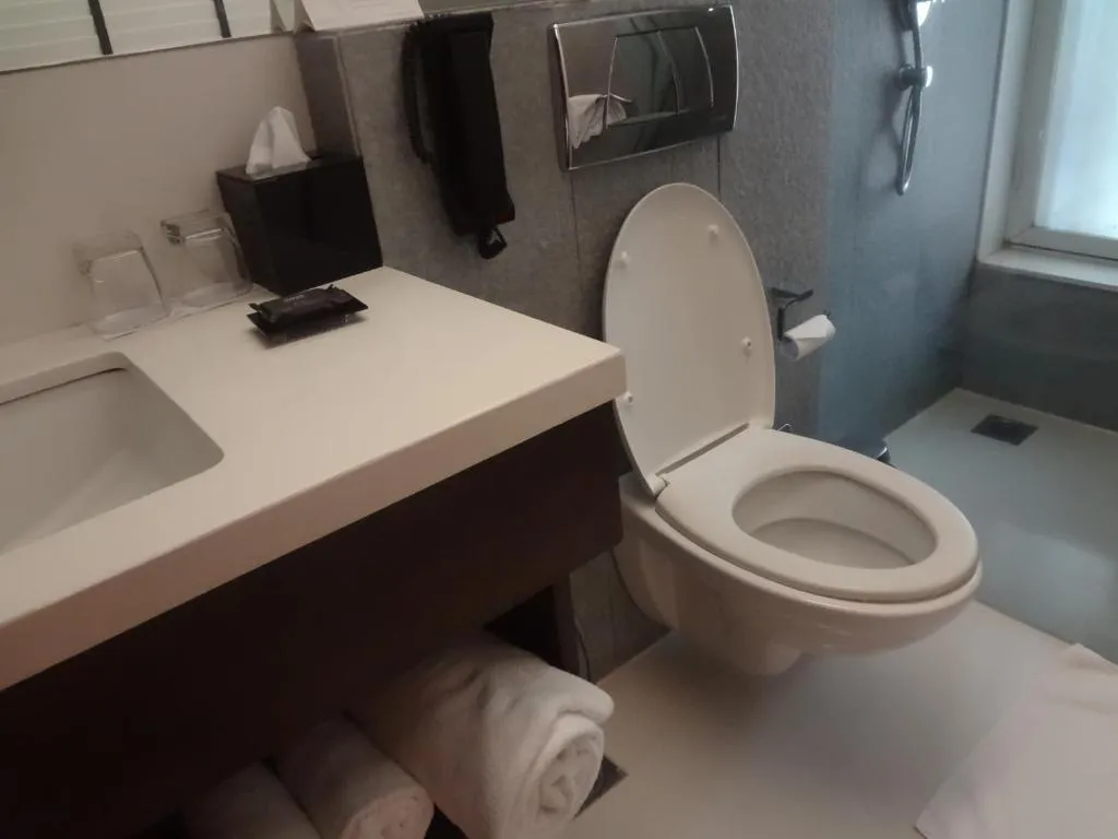 Svenska Design Hotel  andheri7.webp