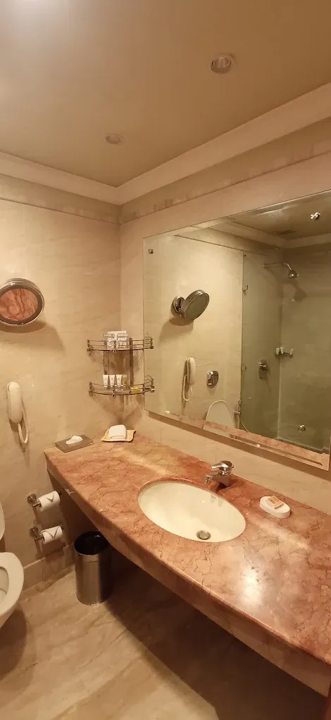 The Suryaa New Delhi16.webp