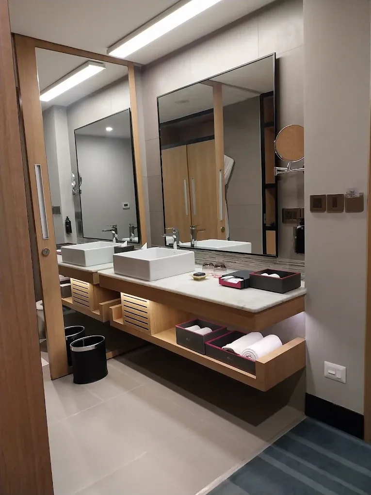 Aloft New Delhi Aerocity 13.webp